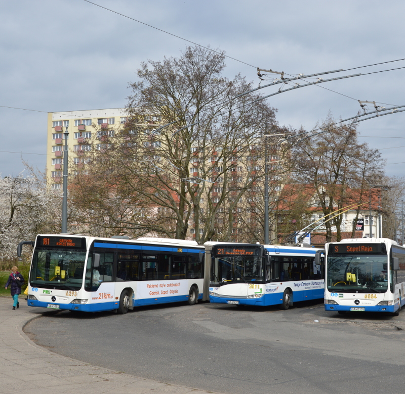 Stały zespół i sieć współpracowników